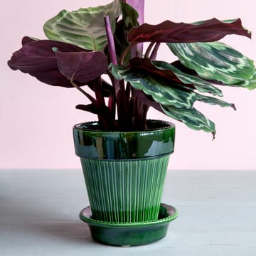 Simona 植木鉢 グレーズ 16 cm - Green - Bergs Potter | バーグスポッター