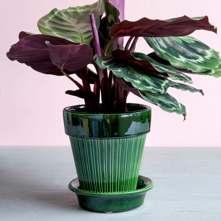 Simona 植木鉢 グレーズ 16 cm, Green Bergs Potter | バーグスポッター