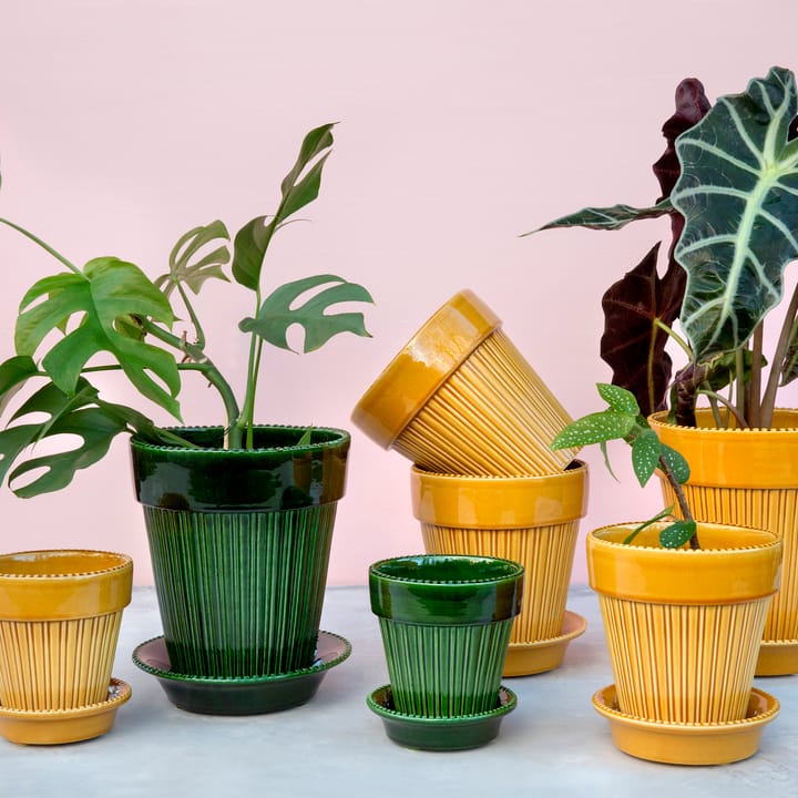 Simona 植木鉢 グレーズ 16 cm, Green Bergs Potter | バーグスポッター