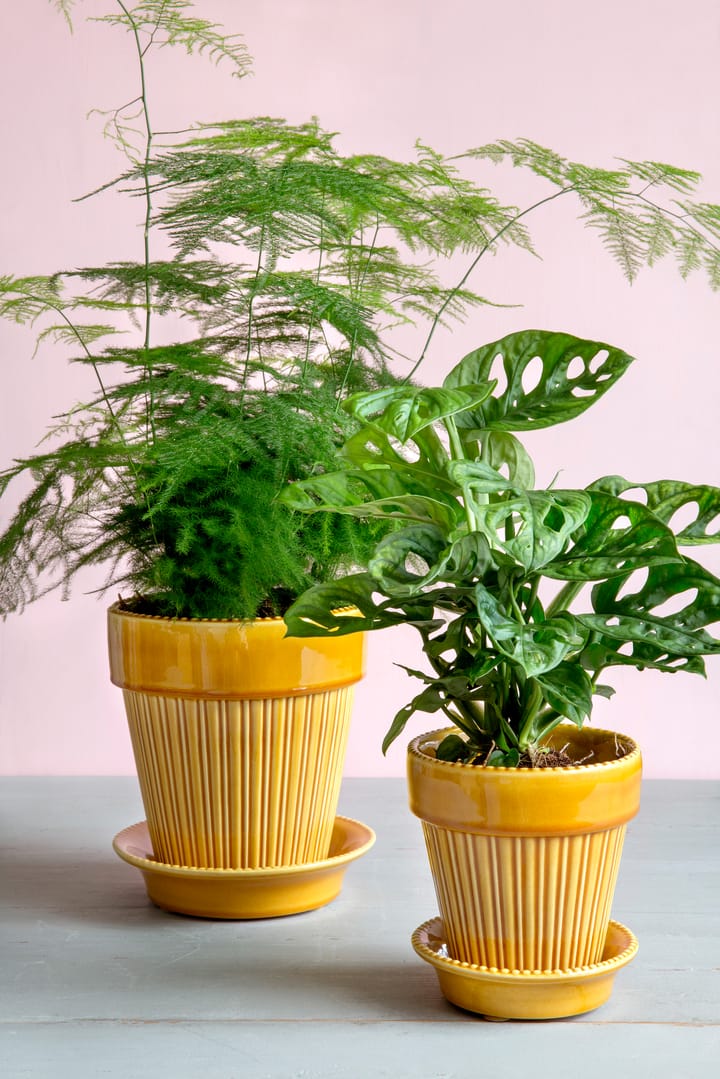 Simona 植木鉢 glazed Ø12 cm, Yellow Bergs Potter | バーグスポッター