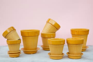 Simona 植木鉢 glazed Ø12 cm - Yellow - Bergs Potter | バーグスポッター