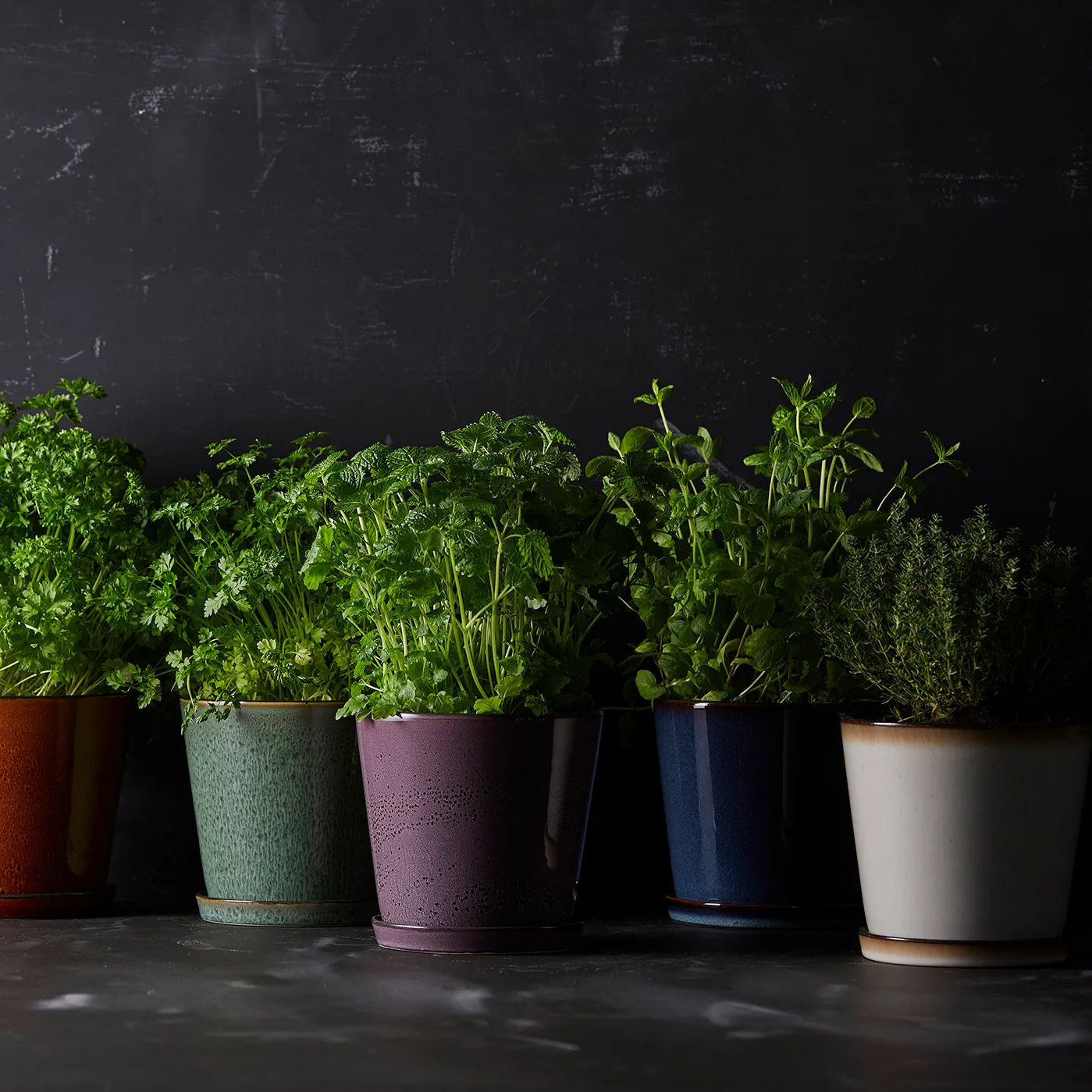 Bitz 植木鉢 ソーサー付き Ø14 cm, cream white-black Bitz | ビッツ