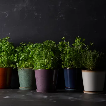 Bitz 植木鉢 ソーサー付き Ø14 cm - cream white-black - Bitz | ビッツ