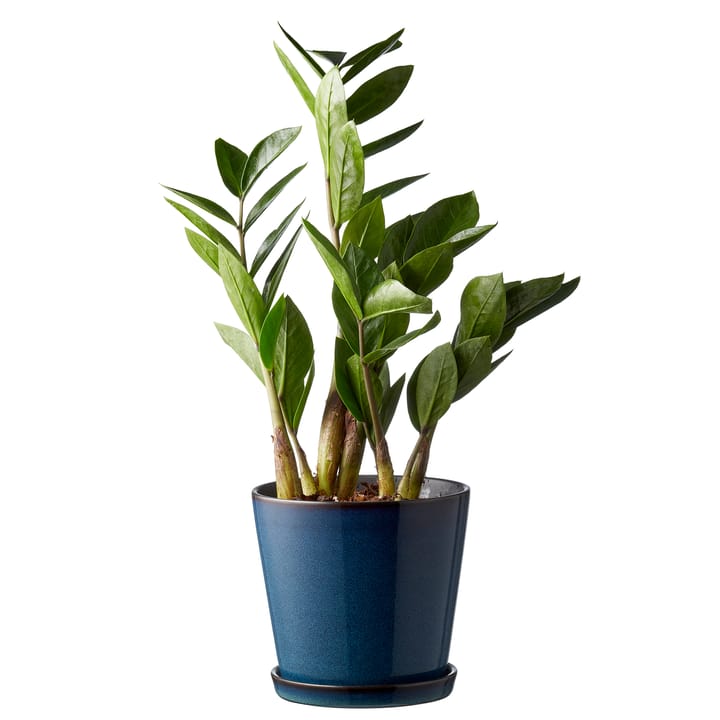 Bitz 植木鉢 ソーサー付き Ø14 cm, dark blue-black Bitz | ビッツ