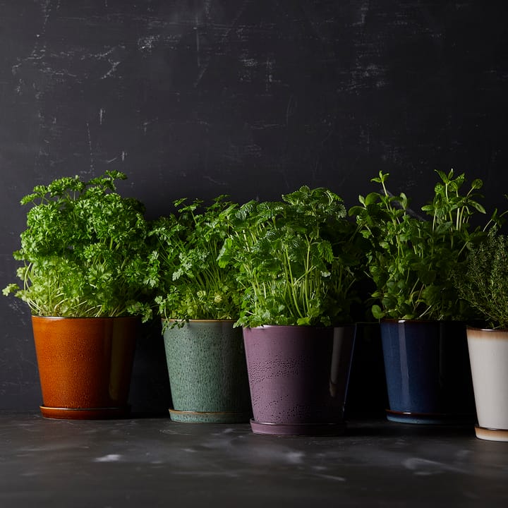 Bitz 植木鉢 ソーサー付き Ø14 cm, green-black Bitz | ビッツ
