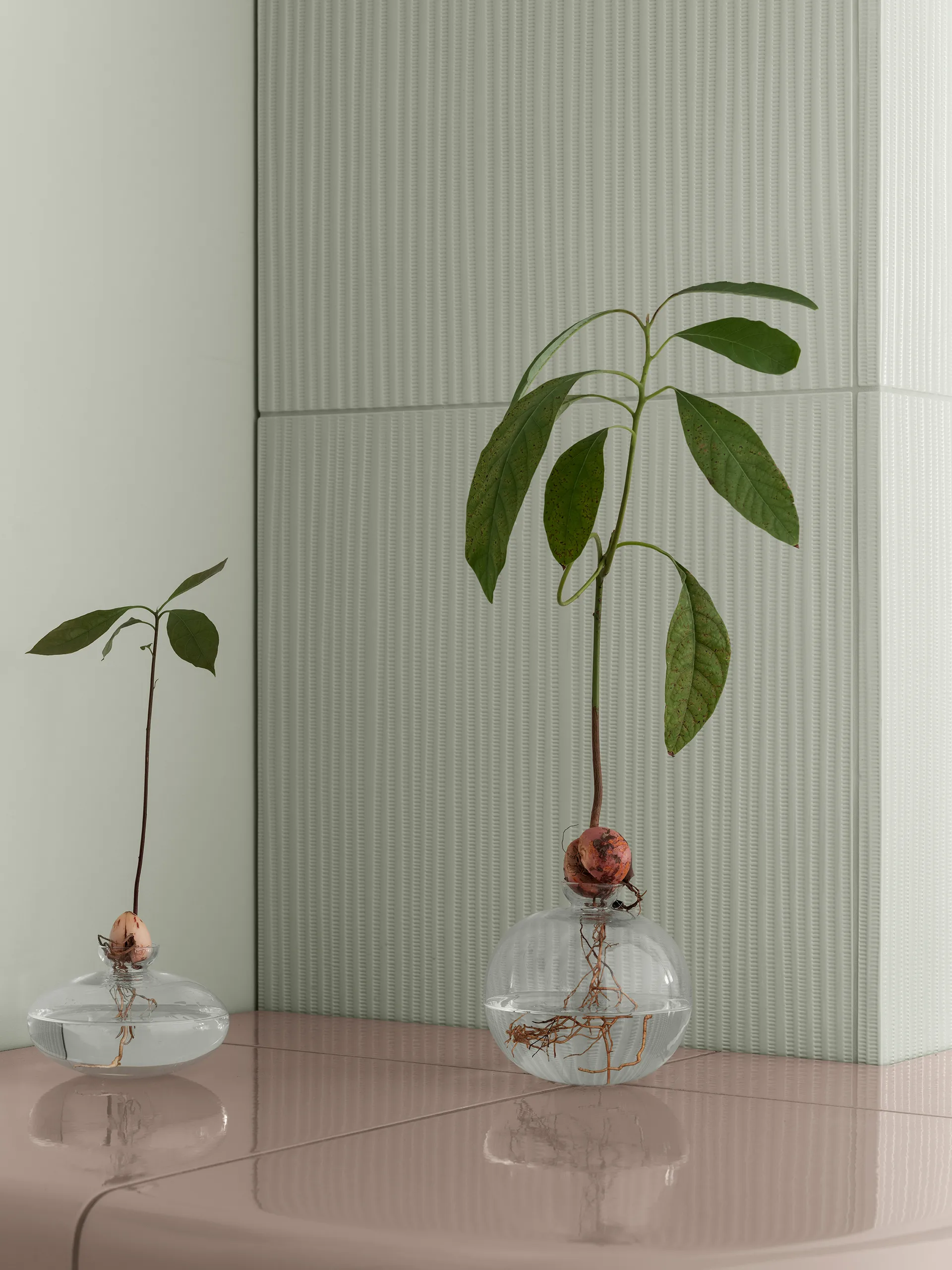 Avo 花瓶 14.5 cm, Clear Blomus | ブロムス