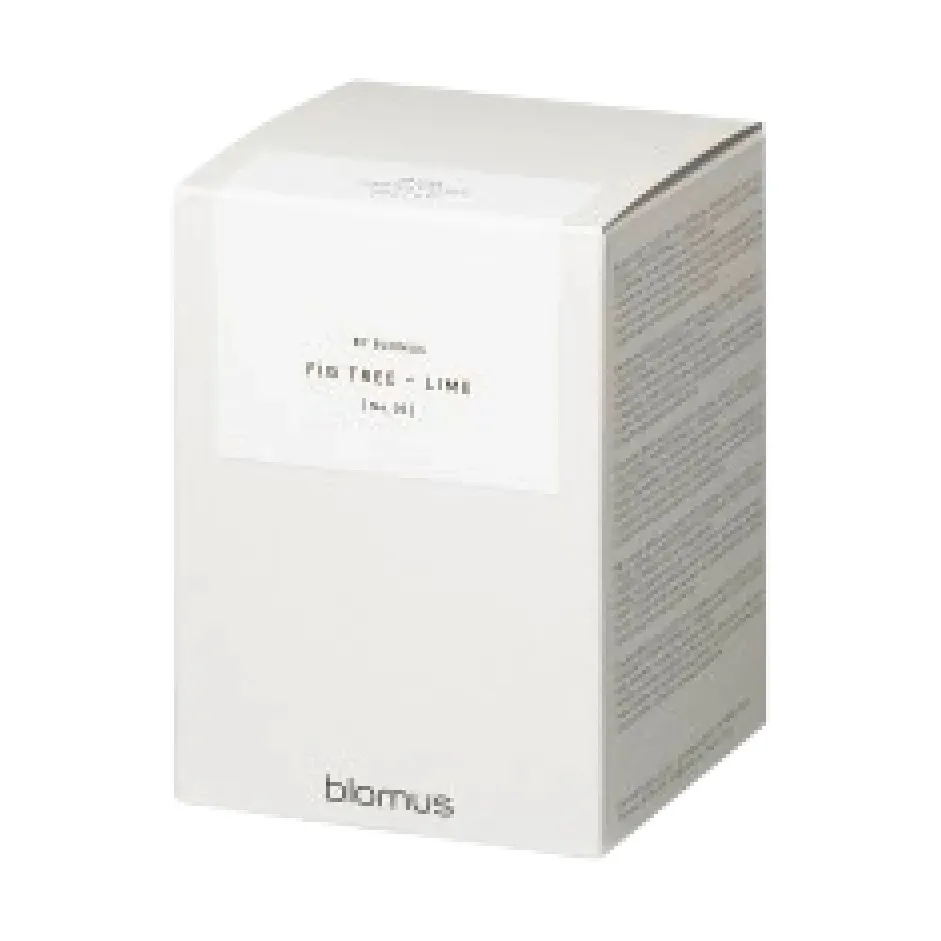 Valoa アロマキャンドル 30時間燃焼, Fikon/Lime Agave Green Blomus | ブロムス