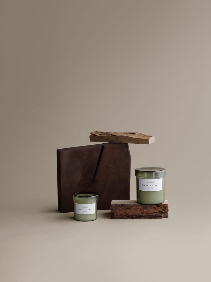 Valoa アロマキャンドル 30時間燃焼, Fikon/Lime Agave Green Blomus | ブロムス
