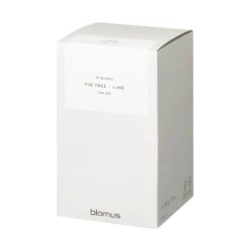 Valoa アロマキャンドル 45時間燃焼 - Fikon/Lime Agave Green - Blomus | ブロムス
