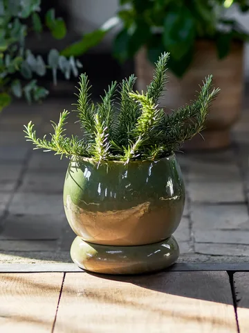 Imke 鉢皿付き鉢 - Green, 18.5x17.5 cm - Bloomingville | ブルーミングヴィル