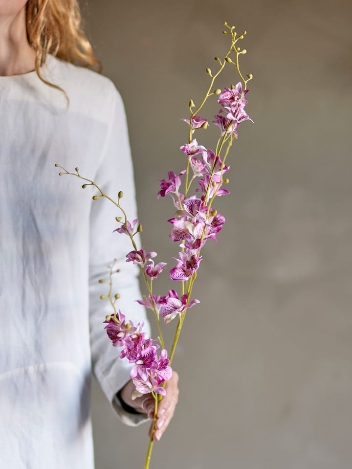 Stem orchid ワックスフラワー, Pink Bloomingville | ブルーミングヴィル