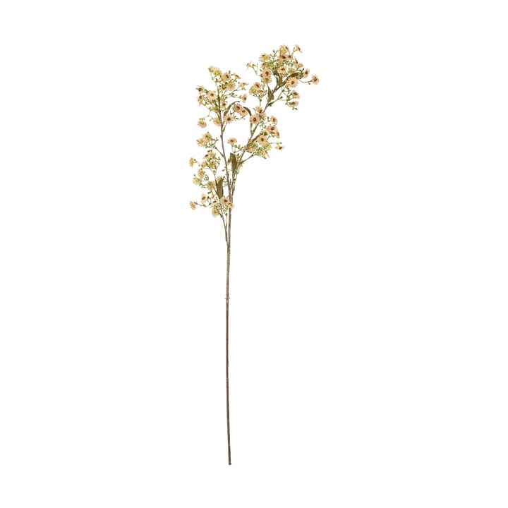 Stem ワックスフラワー - White - Bloomingville | ブルーミングヴィル