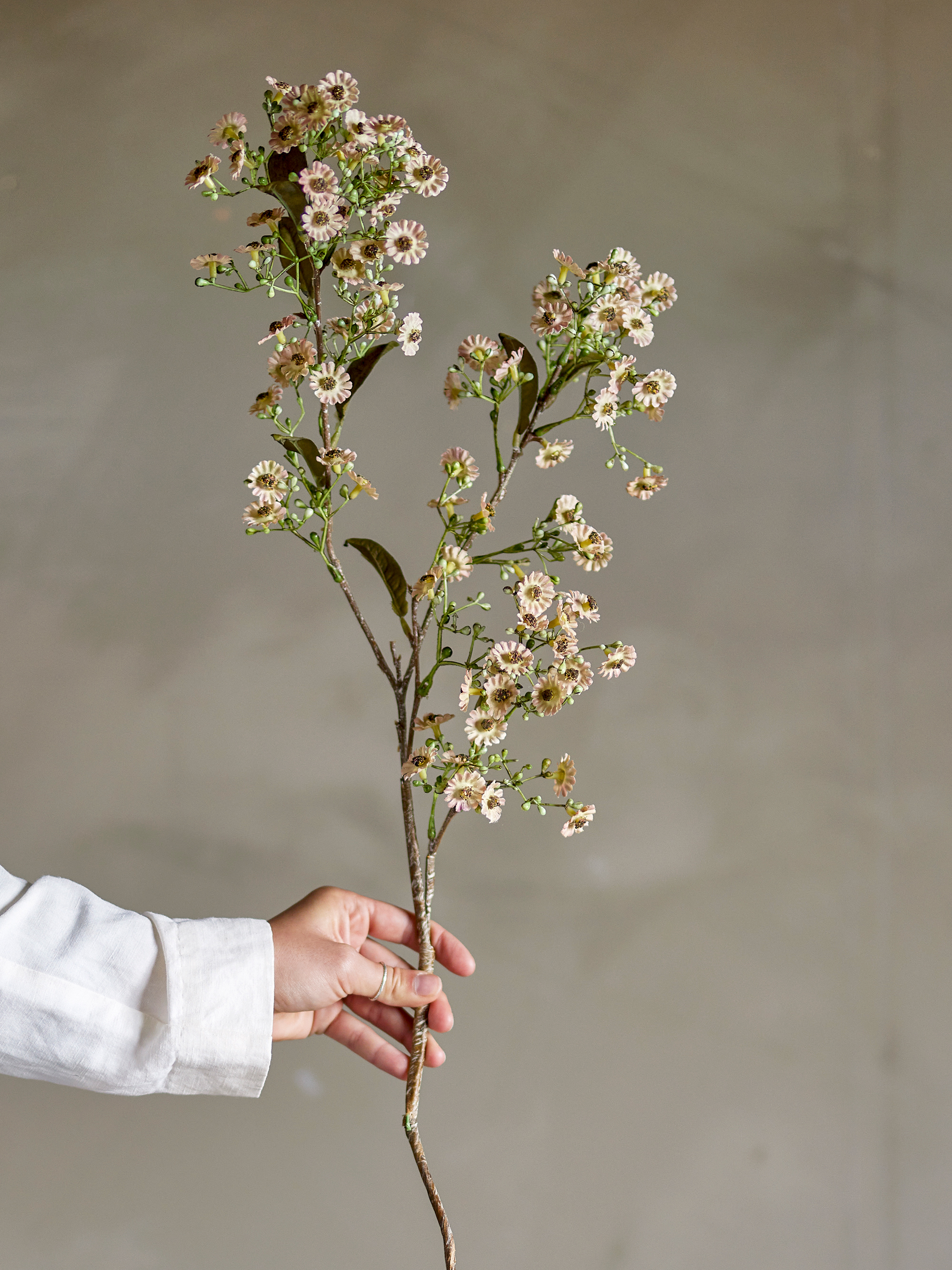 ワックスフラワー Bloomingville | ブルーミングヴィル からのStem ワックス