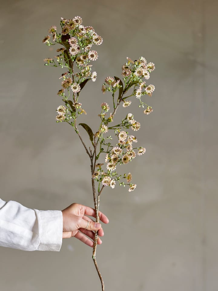Stem ワックスフラワー, White Bloomingville | ブルーミングヴィル