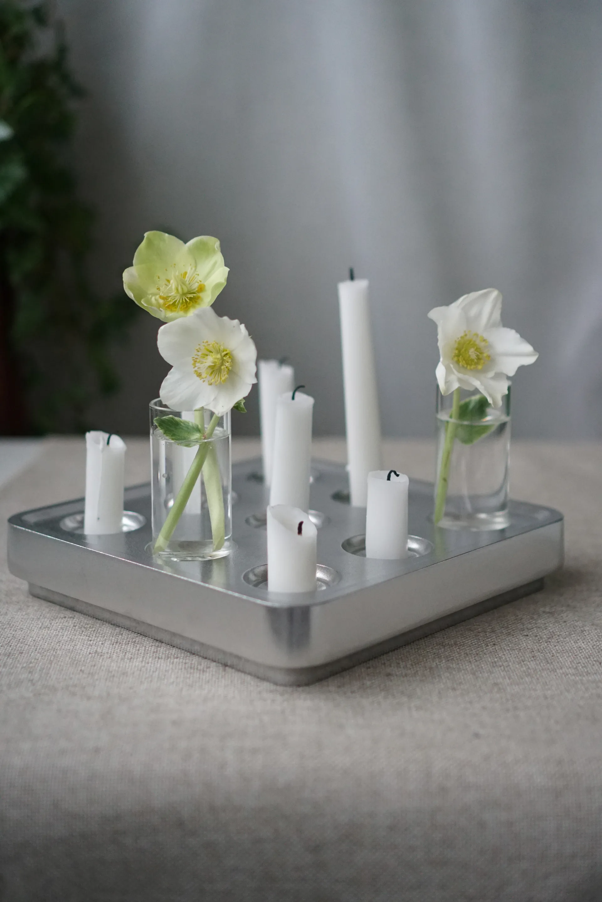 Stumpastaken ball ポリッシュ, Small Born In Sweden | ボーン イン スウェーデン