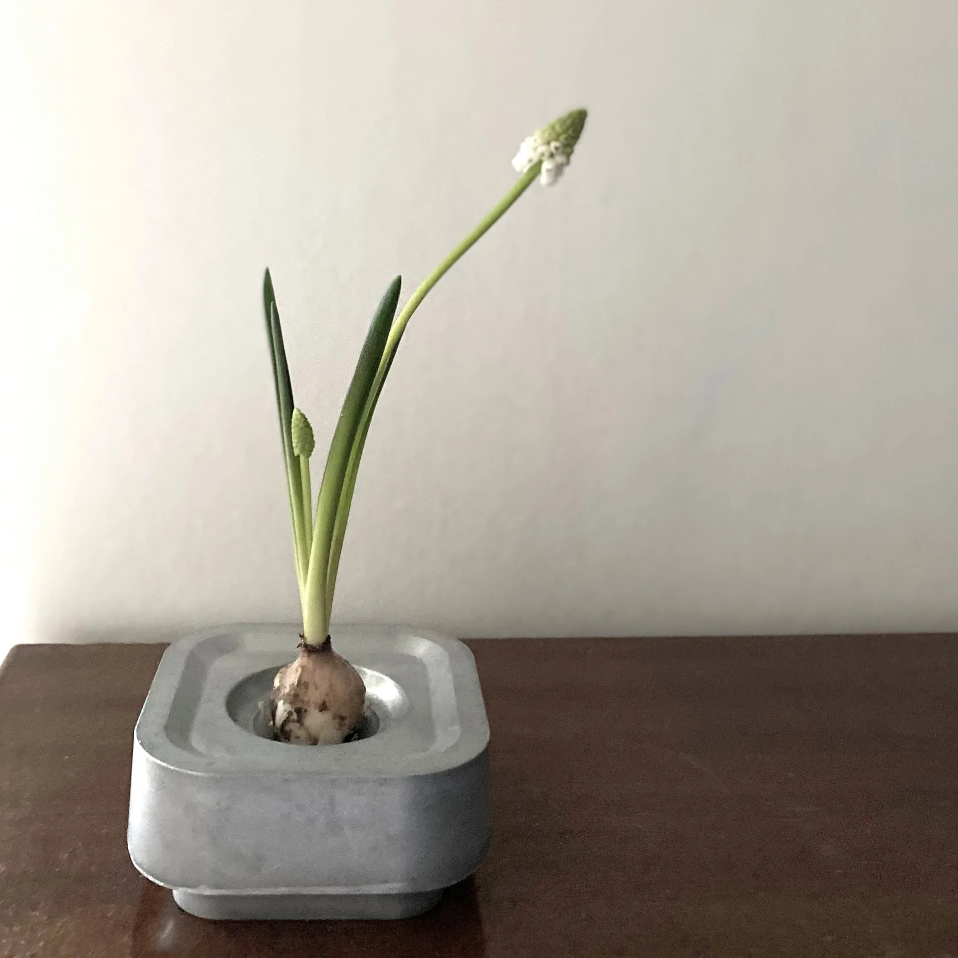 Stumpastaken キャンドル ホルダー Ettan, aluminum Born In Sweden | ボーン イン スウェーデン