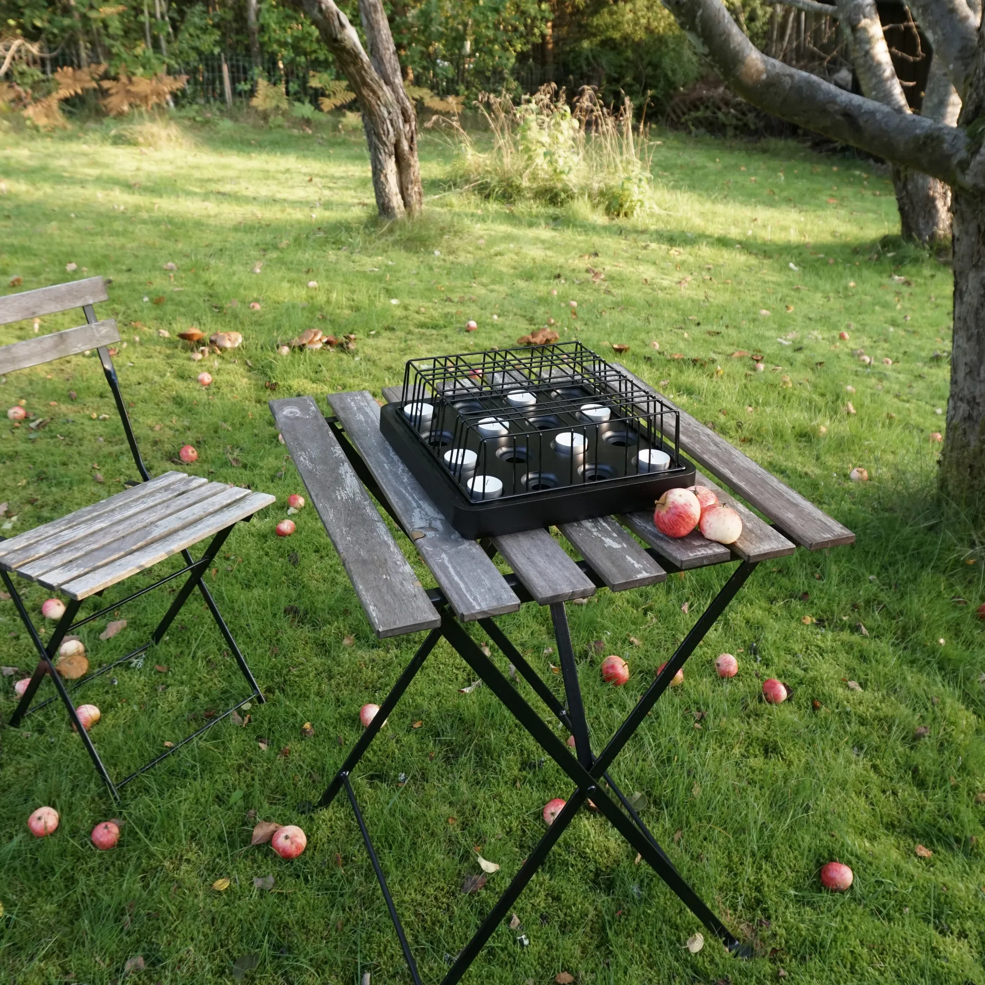 Stumpastaken グリッド ブラック, Large Born In Sweden | ボーン イン スウェーデン