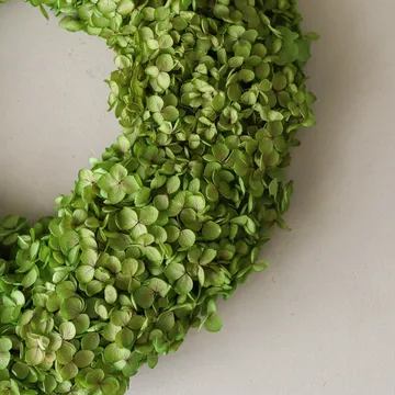 アジサイ リース 花冠 - ライトグリーン、直径40 cm - Botané | ボタネ