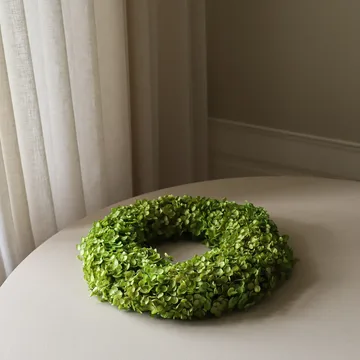 アジサイ リース 花冠 - ライトグリーン、直径40 cm - Botané | ボタネ