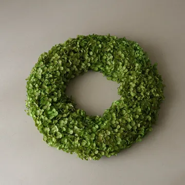 アジサイ リース 花冠 - ライトグリーン、直径40 cm - Botané | ボタネ
