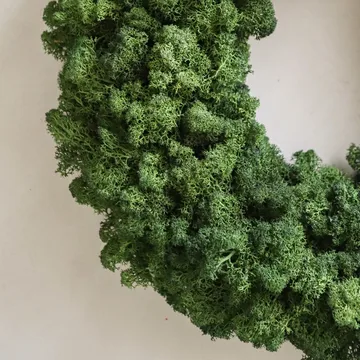 モスリース - グリーン、直径40 cm - Botané | ボタネ