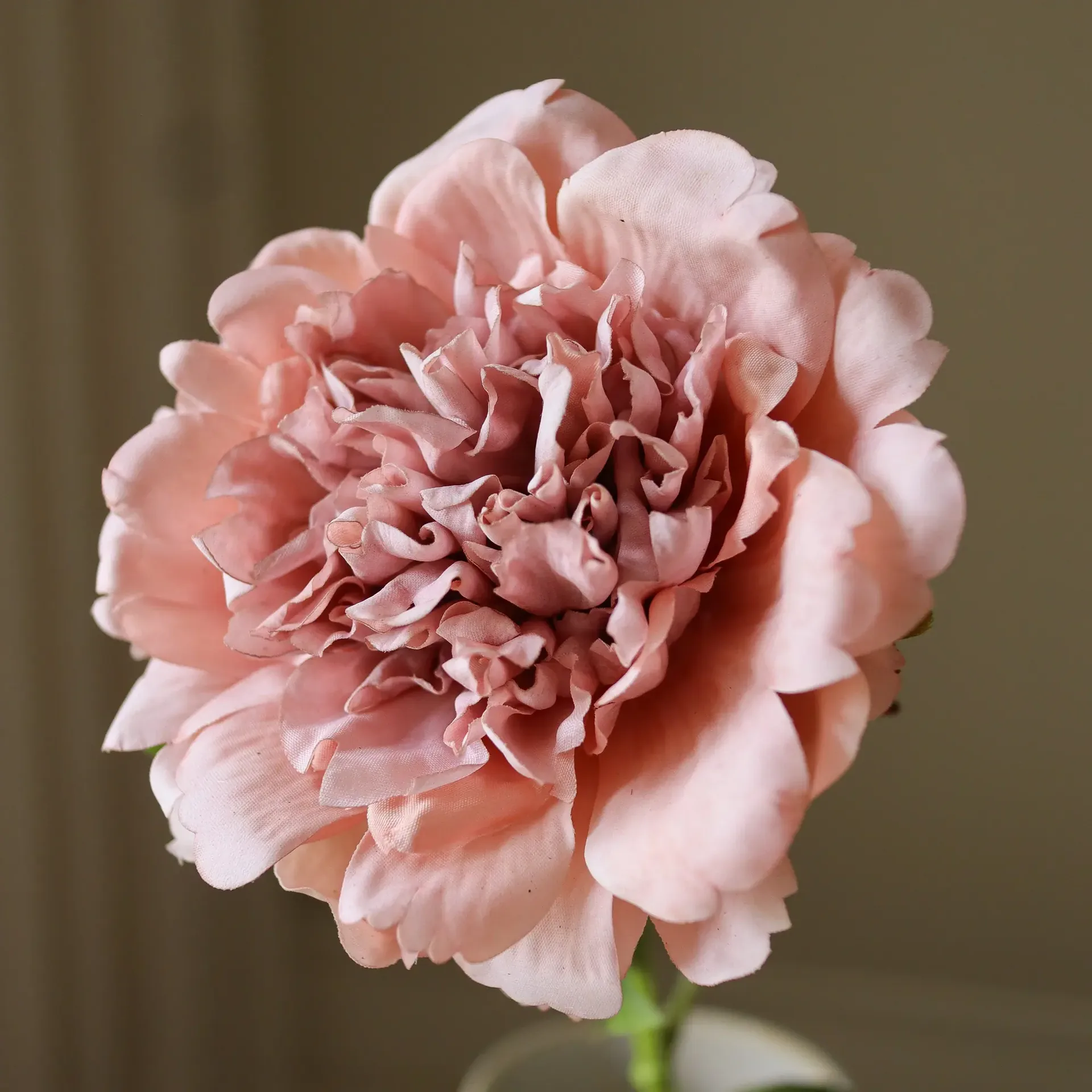 ピオン 人工花, ダスティピンク、56 cm、1個 Botané | ボタネ