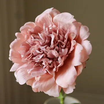 ピオン 人工花 - ダスティピンク、56 cm、1個 - Botané | ボタネ