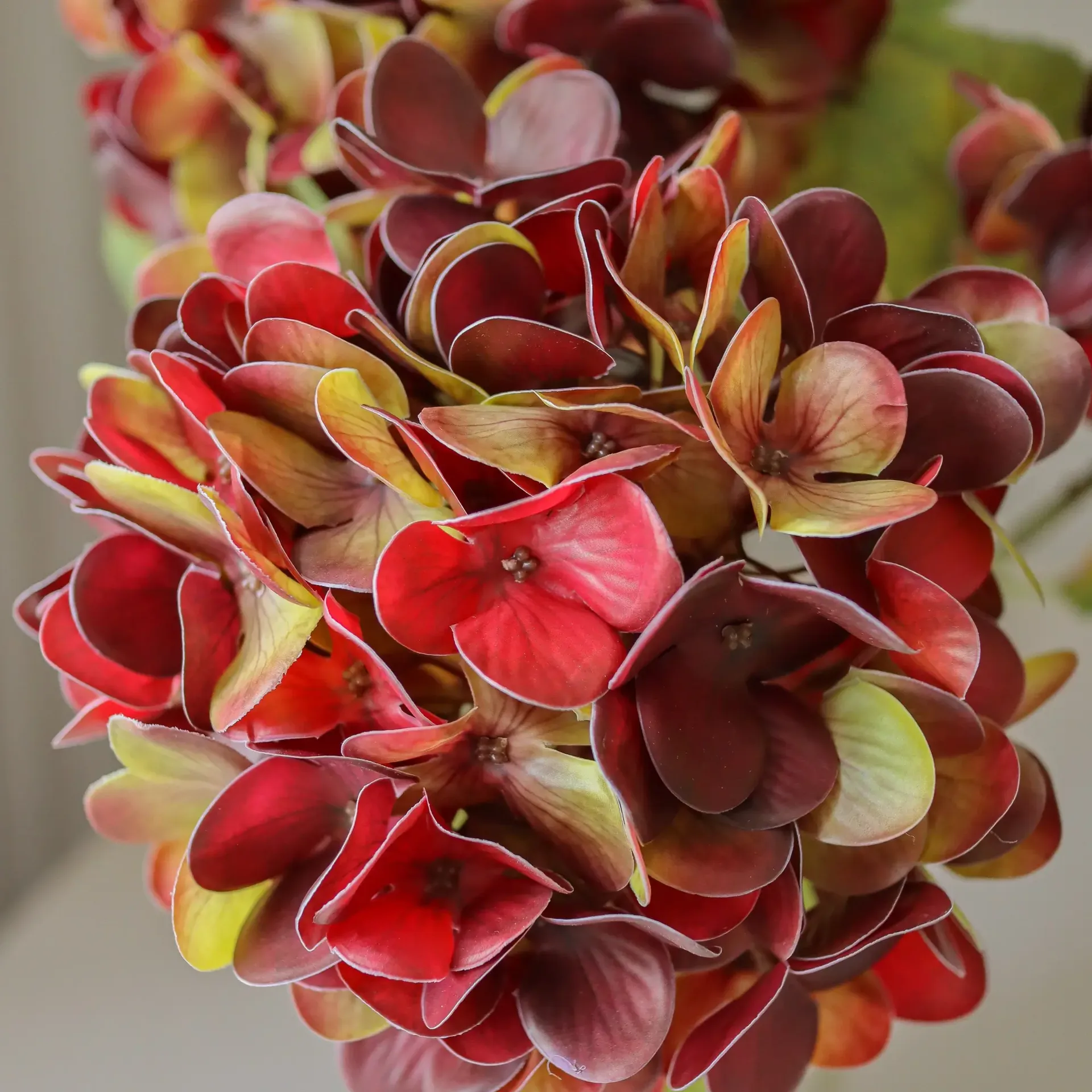 アジサイ 人工花, ディープバーガンディ、60 cm、1点 Botané | ボタネ