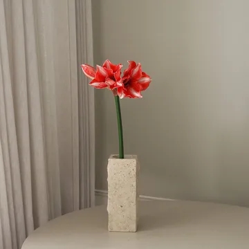 アマリリス 人工花 - Dark red, 72 cm - Botané | ボタネ