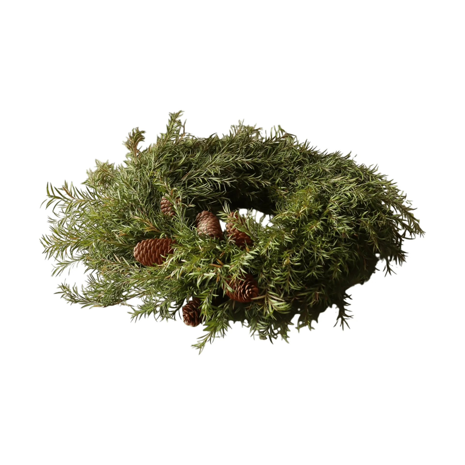 Evergreen Pine Wreath リース, モミの枝、Ø40 cm Botané | ボタネ