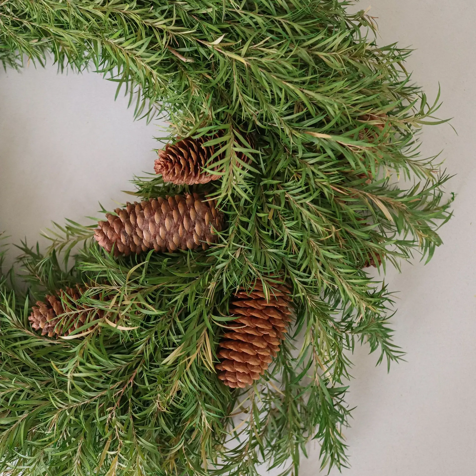 Evergreen Pine Wreath リース, モミの枝、Ø40 cm Botané | ボタネ