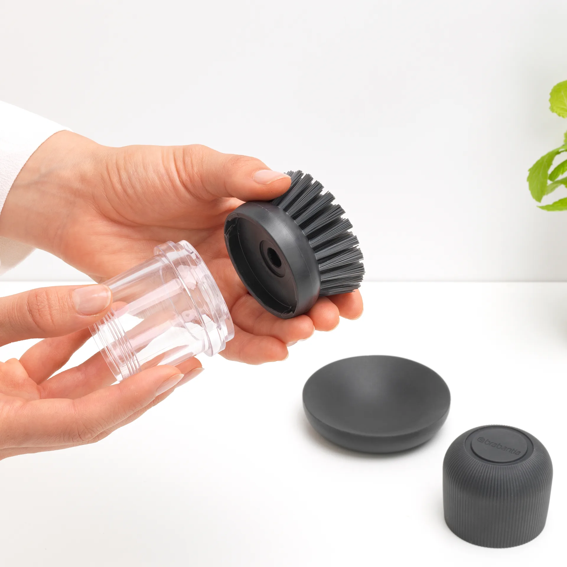 ディッシュソープホルダー & ディッシュブラシ, dark grey Brabantia | ブラバンシア