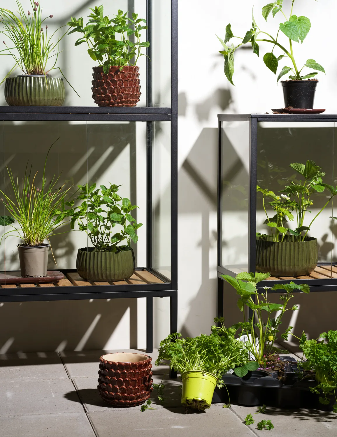 Grower Greens プラントキャビネット, Black, 81x82 cm Brafab