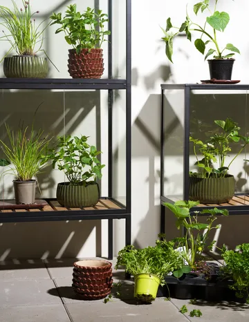 Grower Greens プラントキャビネット - Black, 81x82 cm - Brafab