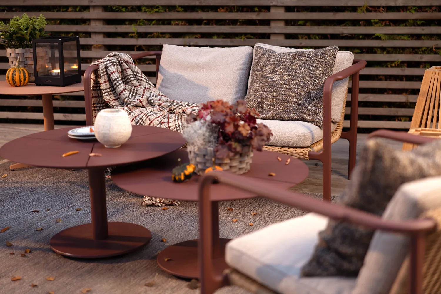 Motty アームチェア, Zin red-teddy beige Brafab