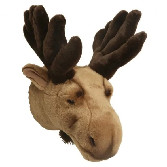 Stuffed moose head for wall, moose Brigbys | ブリグビス