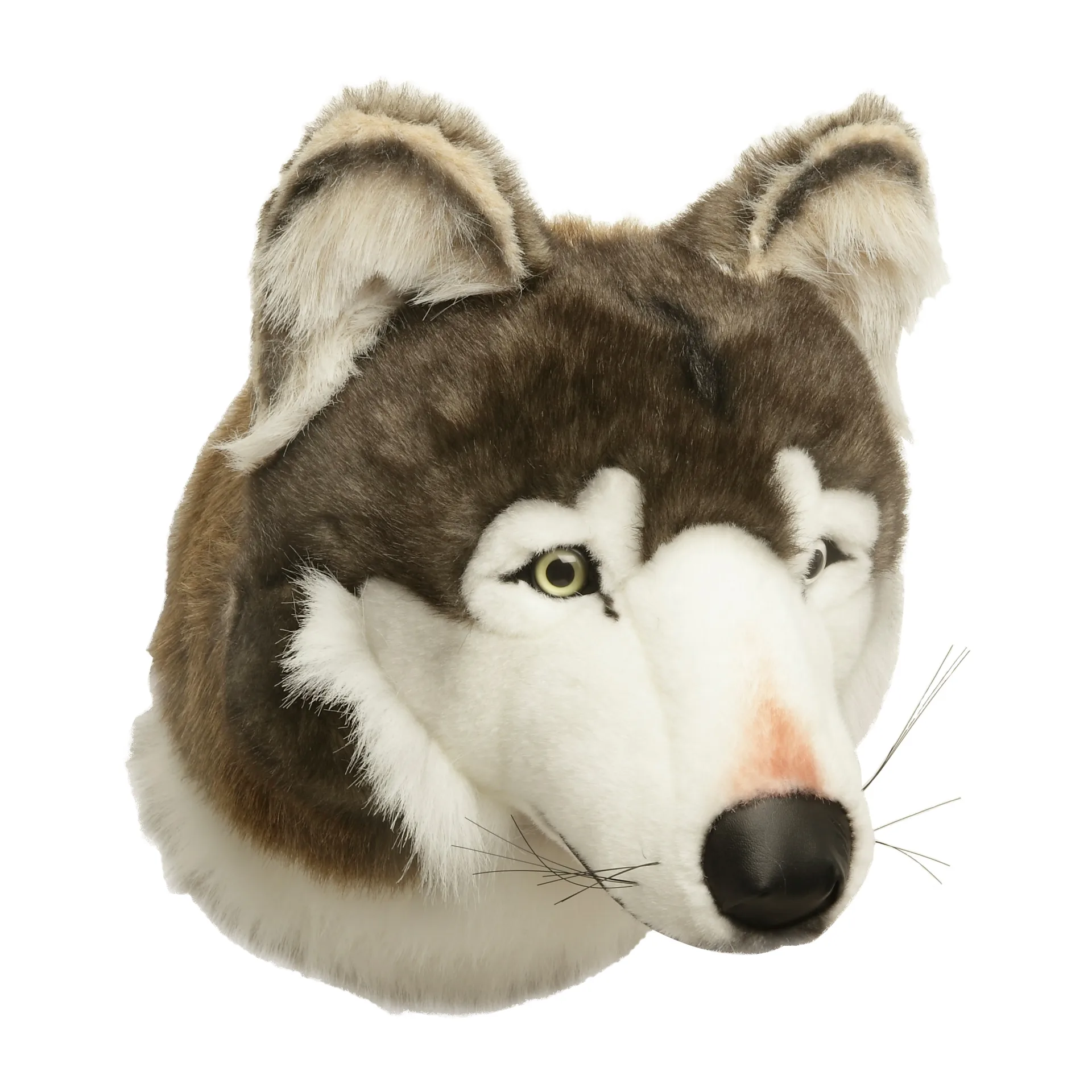 Wolf head for wall, Wolf Brigbys | ブリグビス