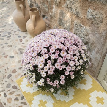 フラワー ラグ sun (yellow) - 70x150 cm - Brita Sweden | ブリタ スウェーデン