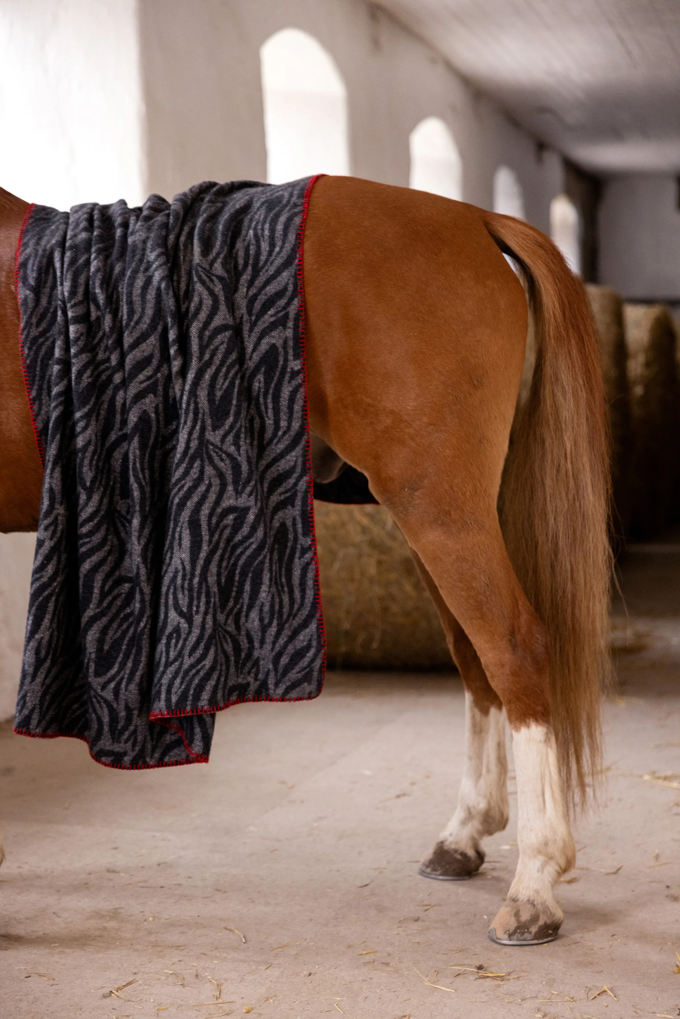 ALIVEN ブランケット sbblanket01.jpg