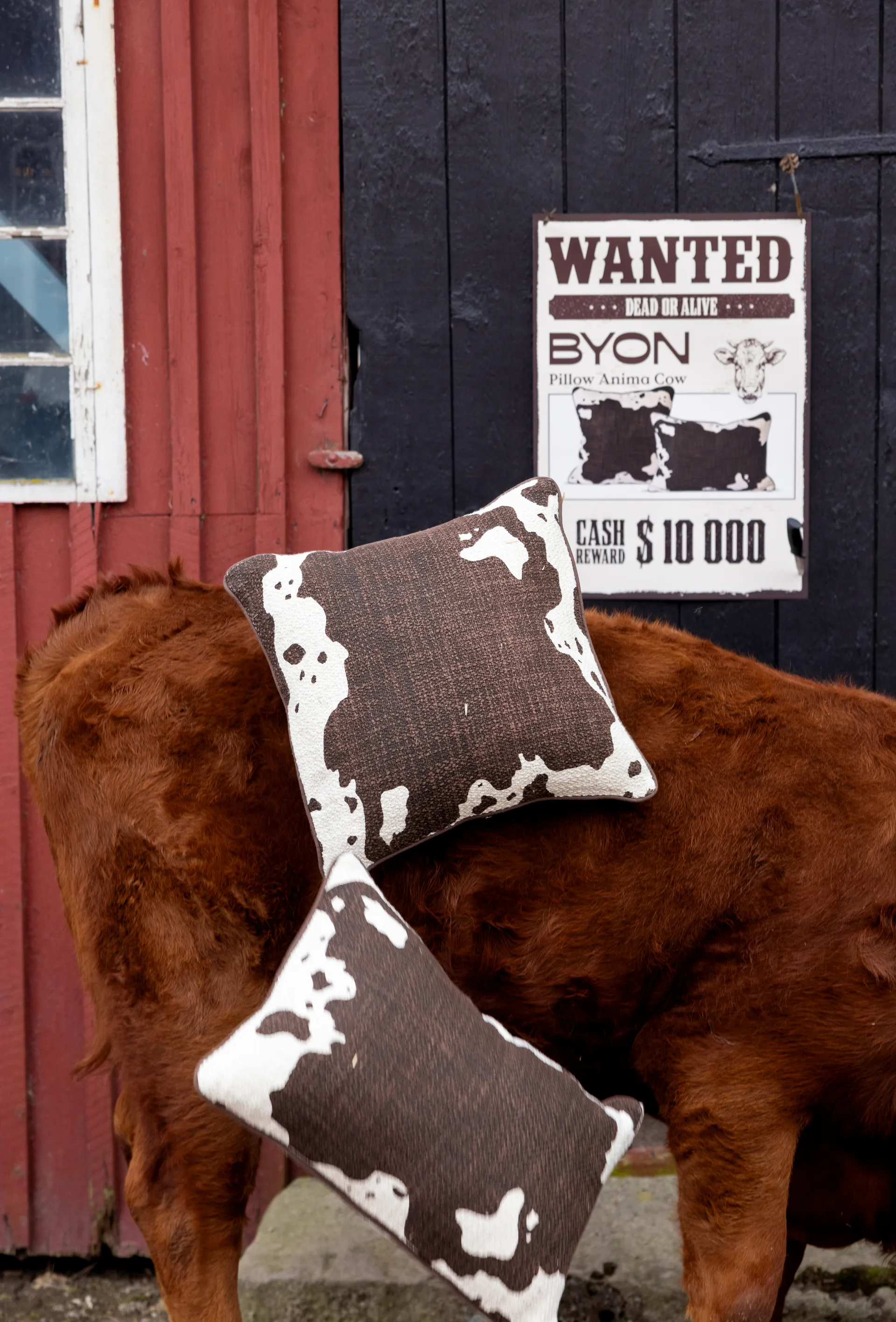 Anima クッション L 40x60 cm, Cow Byon | バイオン