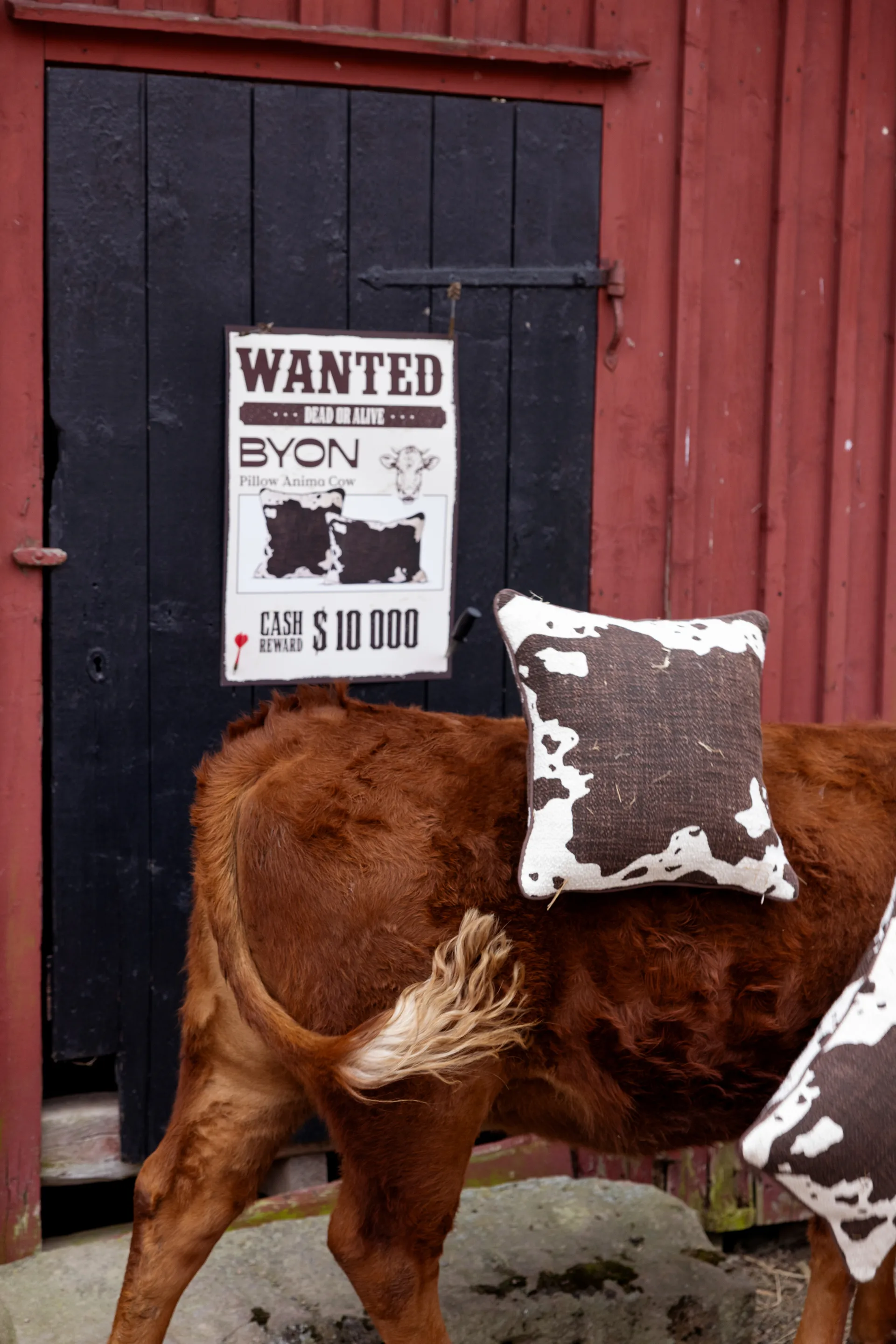 Anima クッション M 50x50 cm, Cow Byon | バイオン