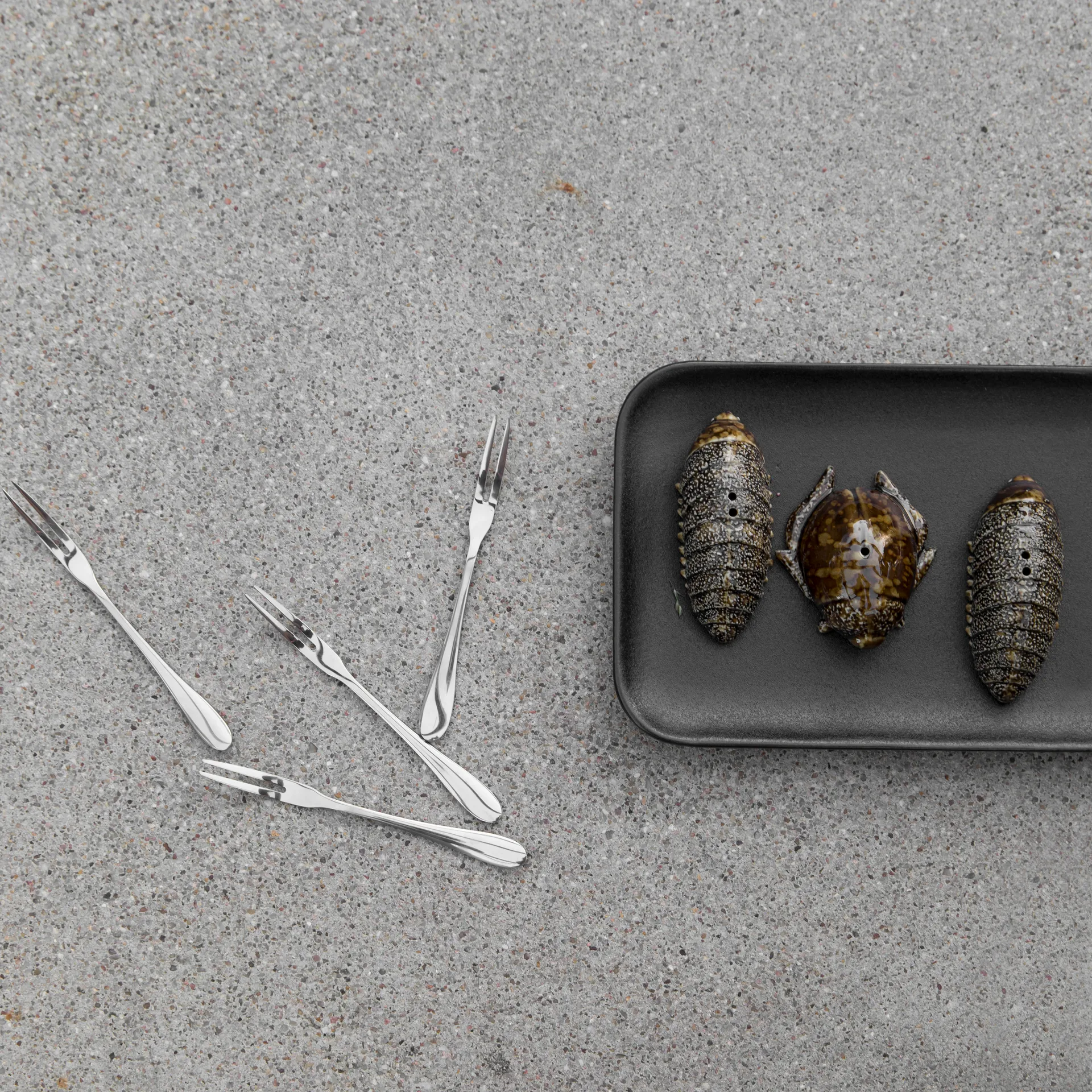 ソルト&ペッパー シェイカー beetles, brown Byon | バイオン