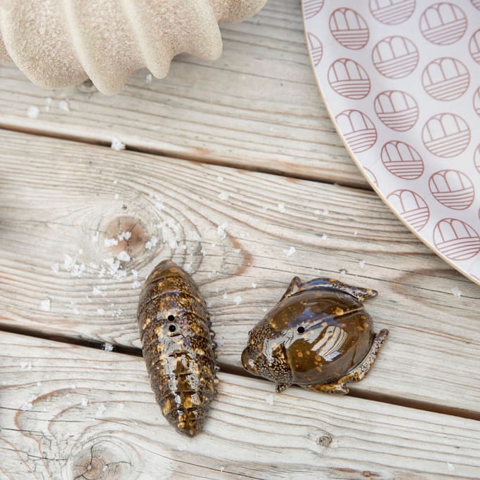 ソルト&ペッパー シェイカー beetles, brown Byon | バイオン