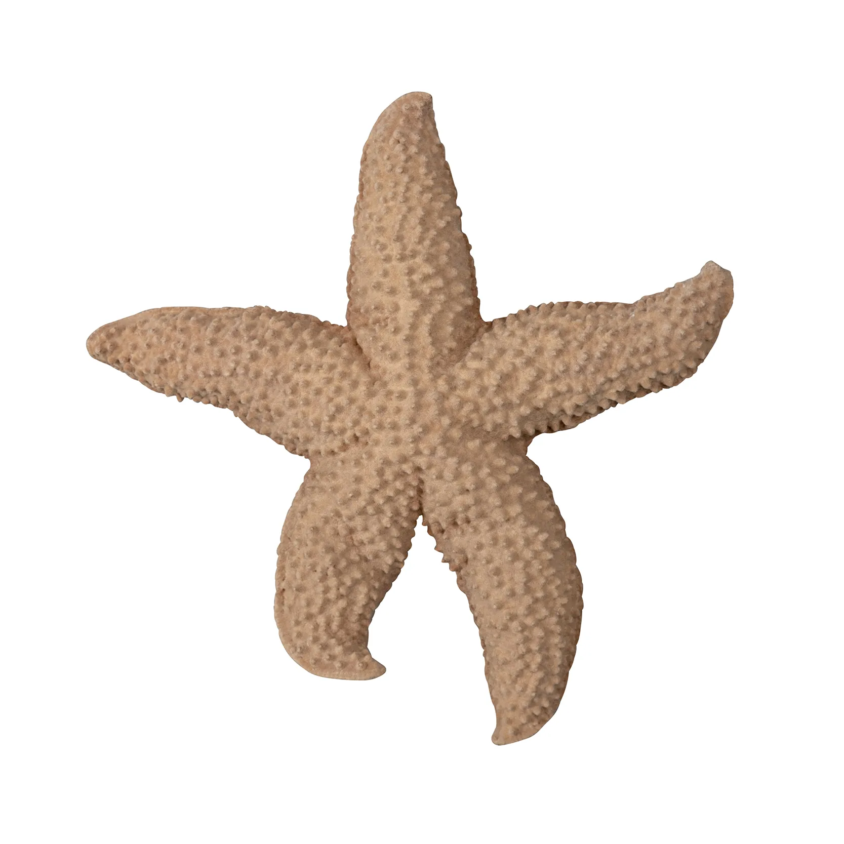 Mandy starfish, beige Byon | バイオン