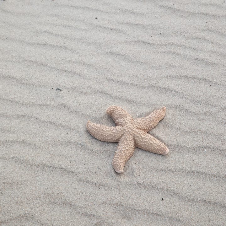 Mandy starfish - beige - Byon | バイオン