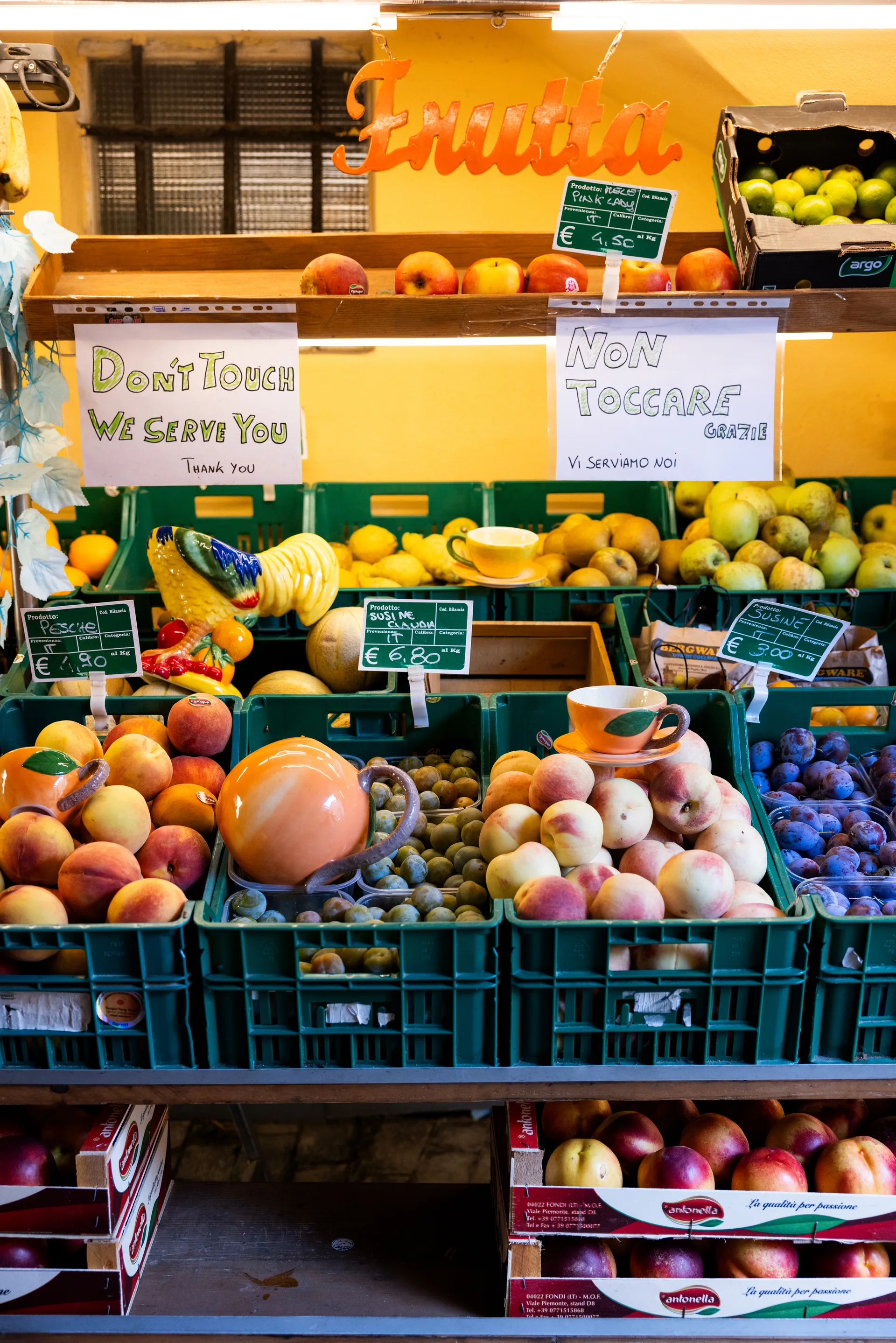 Peach カップ & ソーサー, Orange Byon | バイオン