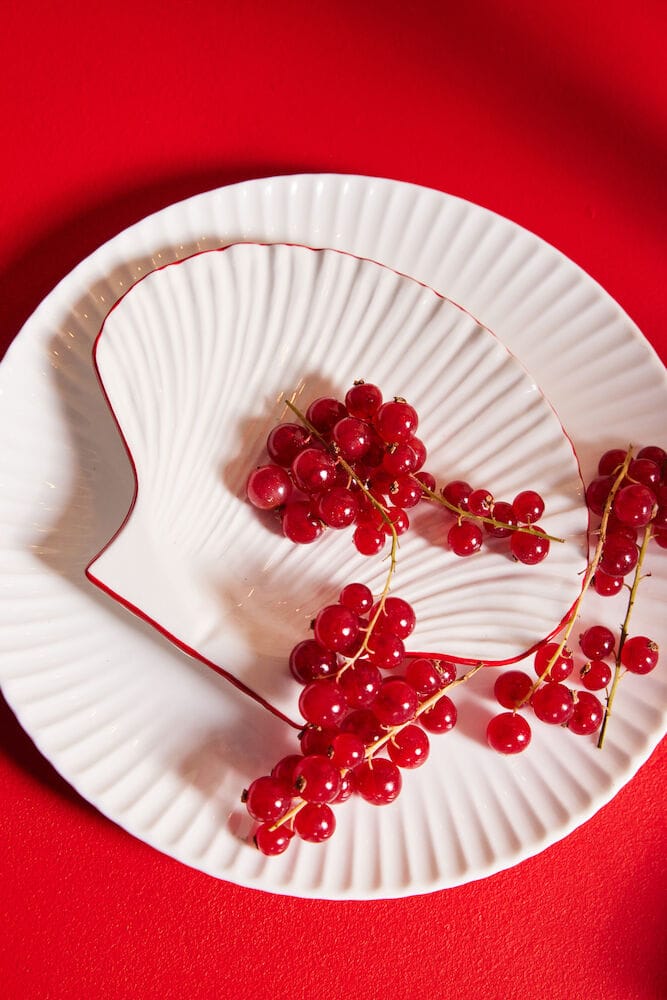 Shell サイドラインプレート S 13x16 cm, White-red Byon | バイオン