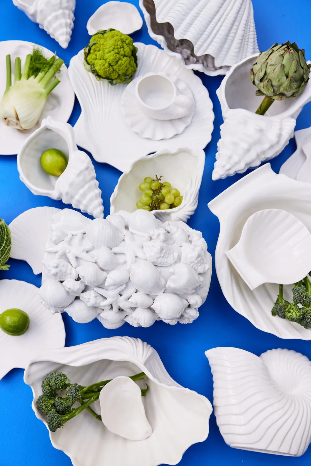 Shell プレート, XL Byon | バイオン