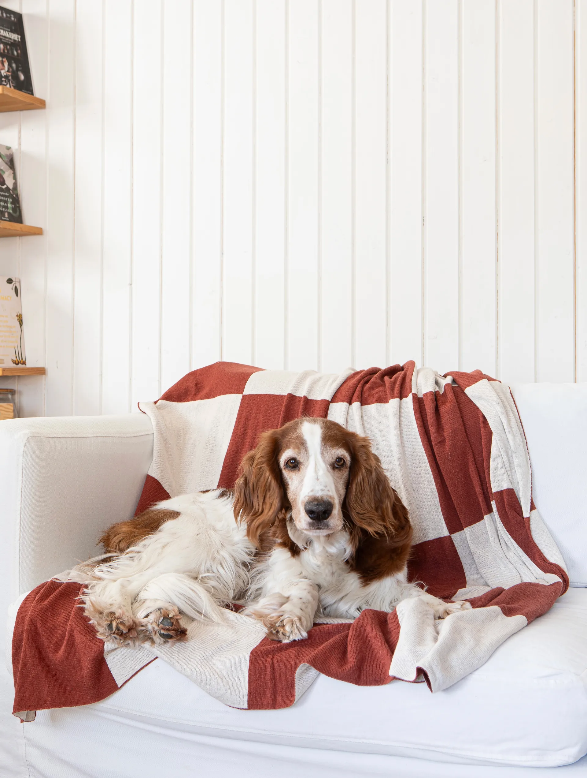 スクエア スロー 130x170 cm, Dark Brown Classic Collection | クラシックコレクション