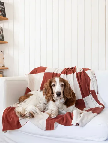 スクエア スロー 130x170 cm - Dark Brown - Classic Collection | クラシックコレクション